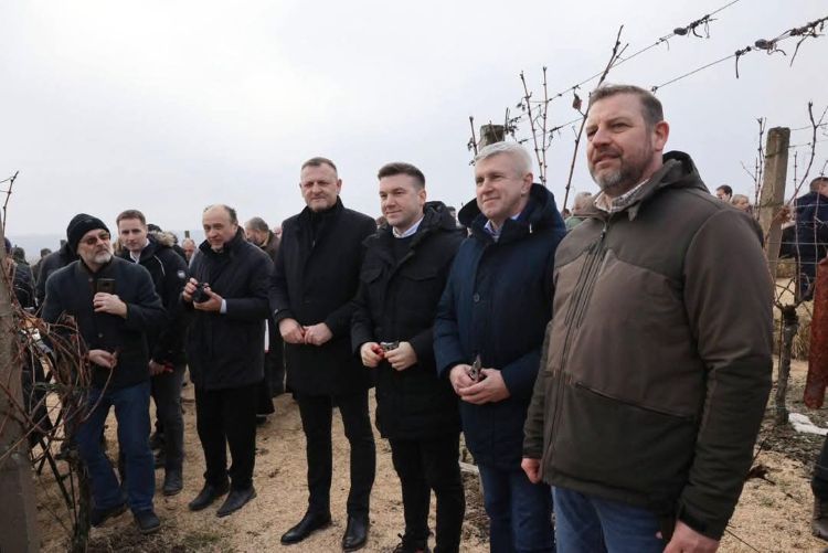 Slika /slike/Priopcenja/sv vinko 3.jpg